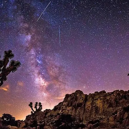 The Desert Nomad Retreat In Joshua Tree Village